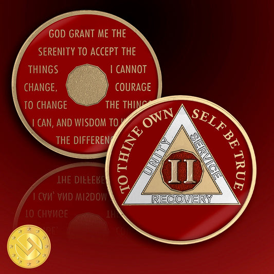 2 Year Sobriety Coin – AA, NA Tri-Plated Medallion